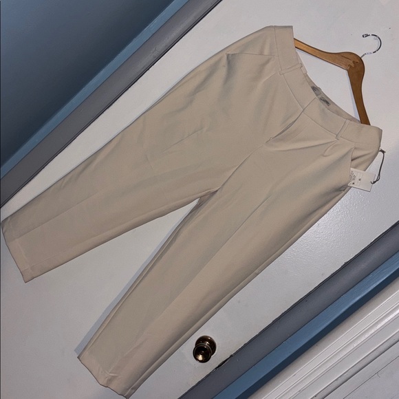 NWT Regular-Fit Mid-Rise Cream Pleated Pants - Picture 8 of 8